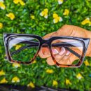 Lunettes CrystalLook 03 + Boîte de rangement et mouchoir de nettoyage offert