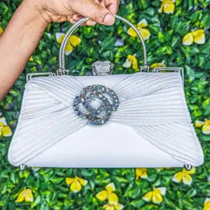 Sac de soirée de luxe élégant